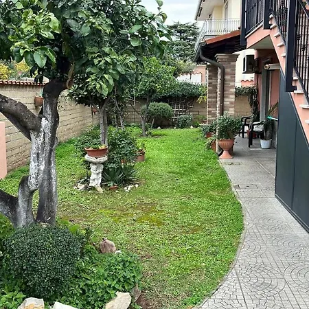 Un Sogno Nel Verde2 *